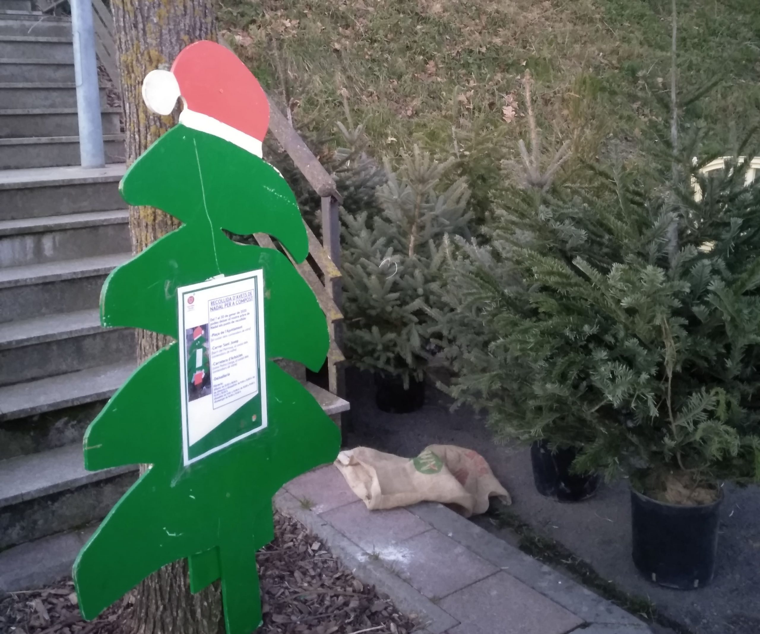 Campanya de recollida i reciclatge d’avets de Nadal