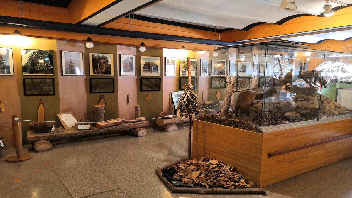 Visita el Museu Guilleries – Portes obertes
