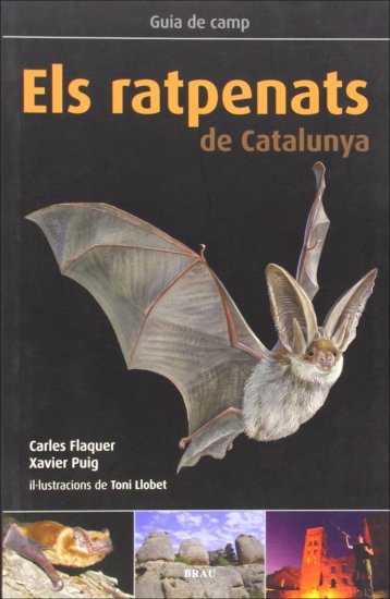 ratpenats cataluna