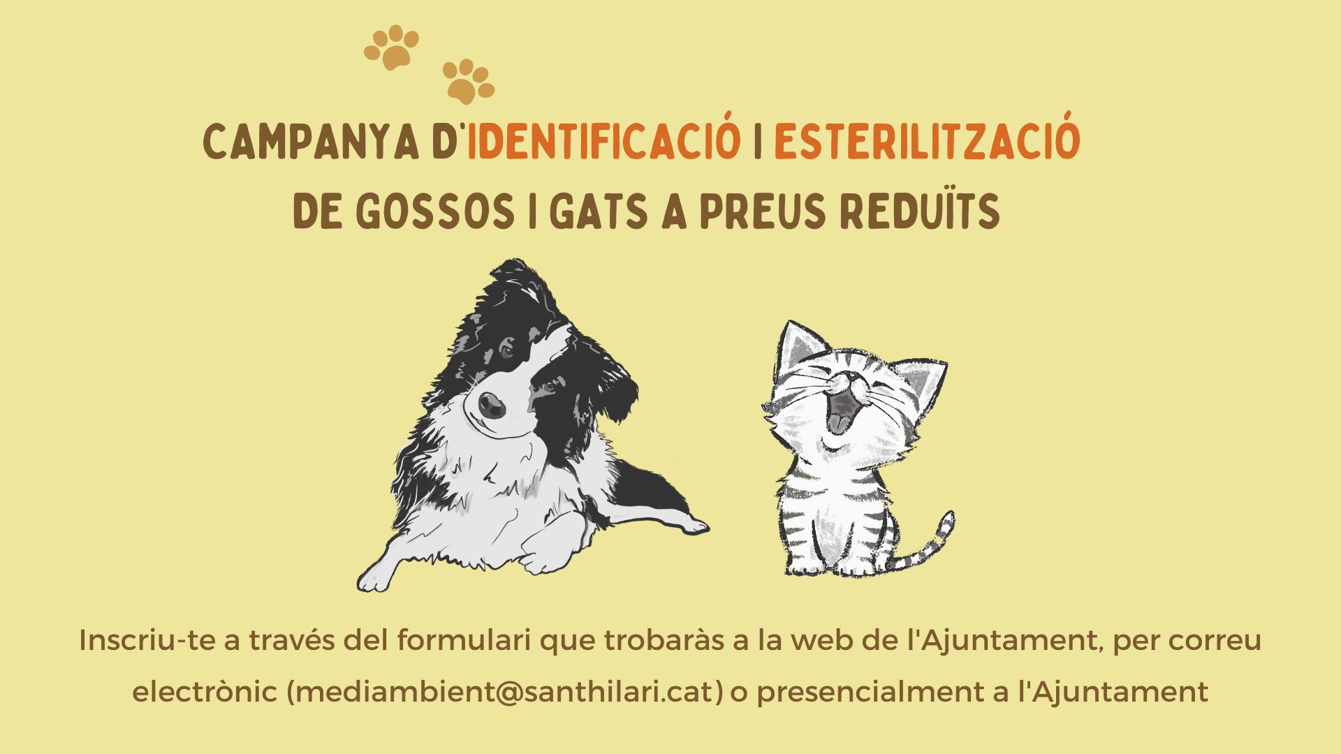 Campanya d’identificació i esterilització de gossos i gats a preus reduïts