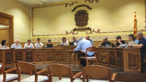 Cròniques dels Plens