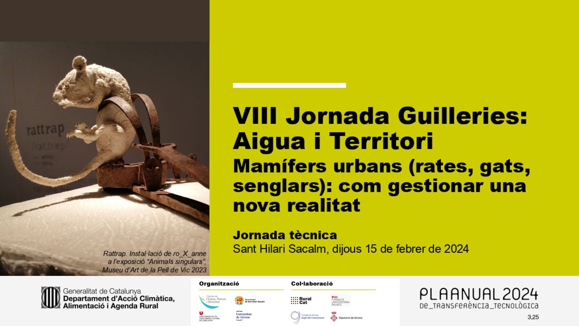 8a Jornada Guilleries: “Mamífers urbans (rates, gats, senglars): com gestionar una nova realitat”